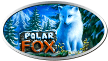 Polar Fox