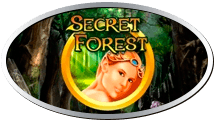 Secret Forest